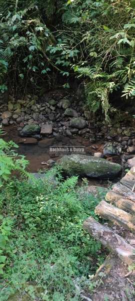 Rolante - 2hectares - Água Branca: 11ª foto da galeria de imagens do imóvel