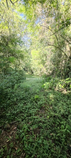 Rolante - 2hectares - Água Branca: 2ª foto da galeria de imagens do imóvel