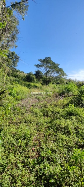 Rolante - 2hectares - Água Branca: 4ª foto da galeria de imagens do imóvel