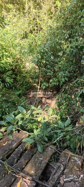 Rolante - 2hectares - Água Branca: 10ª foto da galeria de imagens do imóvel