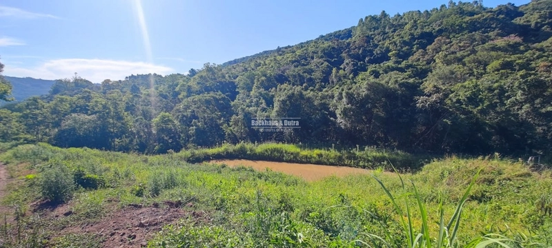 Rolante - 2hectares - Água Branca: 7ª foto da galeria de imagens do imóvel