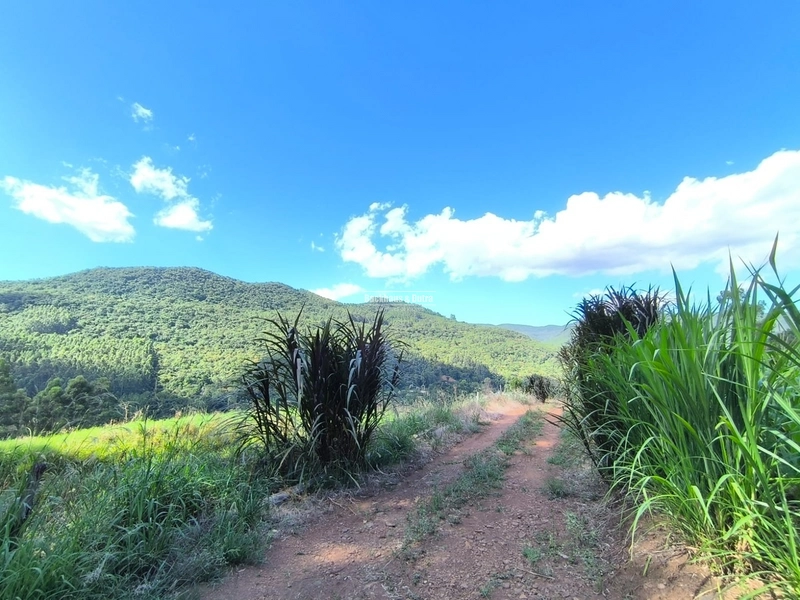 Riozinho - 2,7 hectares - Paredão: 18ª foto da galeria de imagens do imóvel