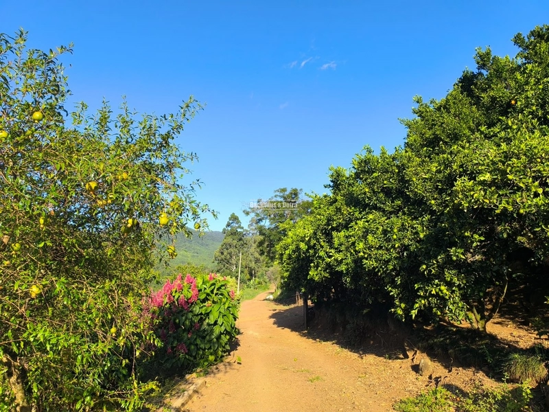 Riozinho - 2,7 hectares - Paredão: 3ª foto da galeria de imagens do imóvel