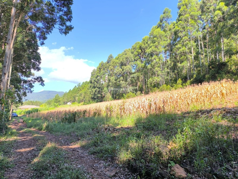 Riozinho - 2,7 hectares - Paredão: 10ª foto da galeria de imagens do imóvel