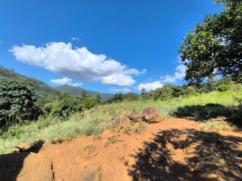 Riozinho - 2,7 hectares - Paredão: 16ª foto da galeria de imagens do imóvel