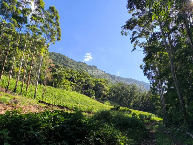 Riozinho - 2,7 hectares - Paredão: 8ª foto da galeria de imagens do imóvel