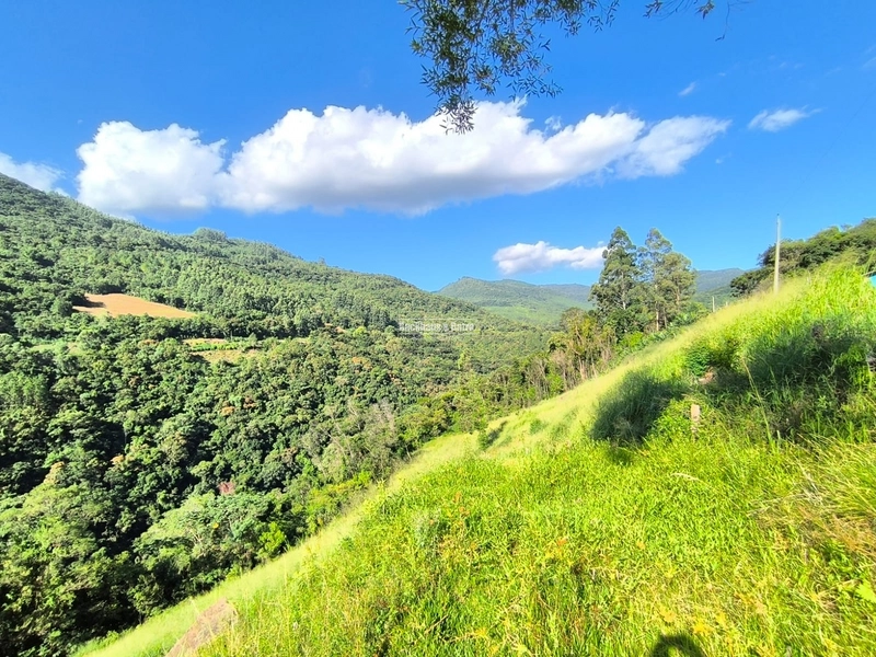 Riozinho - 2,7 hectares - Paredão: 11ª foto da galeria de imagens do imóvel