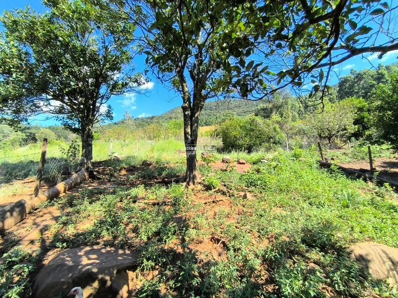 Riozinho - 2,7 hectares - Paredão: 15ª foto da galeria de imagens do imóvel