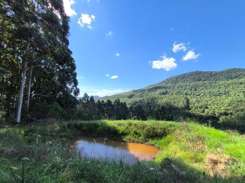 Riozinho - 2,7 hectares - Paredão: 20ª foto da galeria de imagens do imóvel