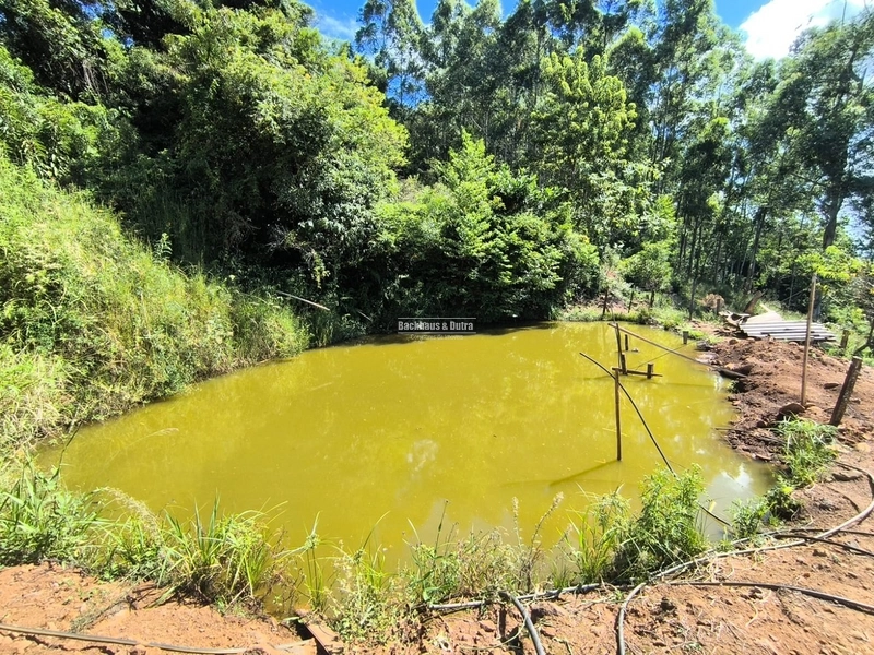 Riozinho - 2,7 hectares - Paredão: 21ª foto da galeria de imagens do imóvel