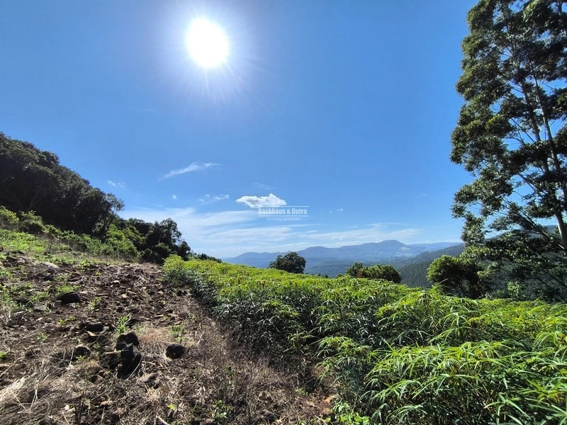 Riozinho - 2,7 hectares - Paredão: 1ª foto da galeria de imagens do imóvel