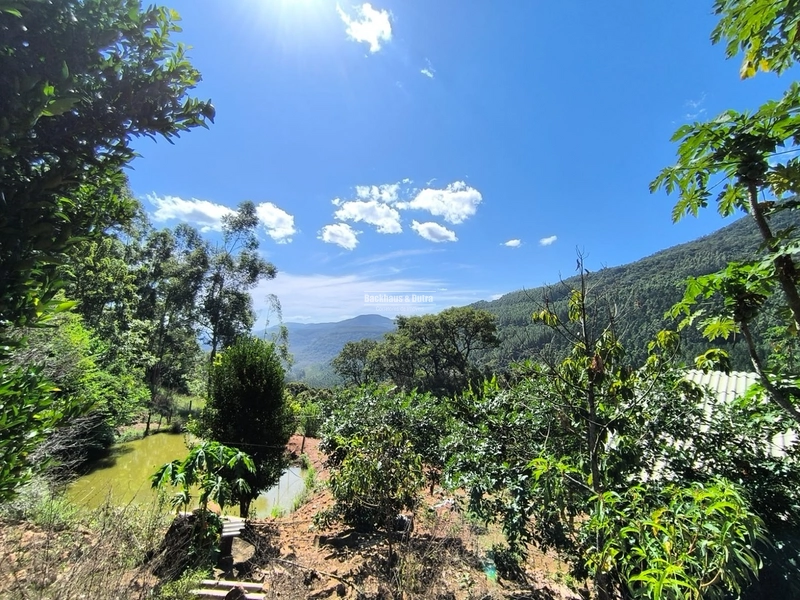 Riozinho - 2,7 hectares - Paredão: 13ª foto da galeria de imagens do imóvel
