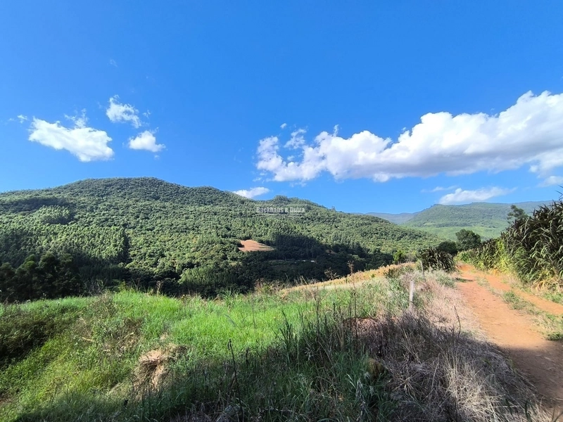 Riozinho - 2,7 hectares - Paredão: 17ª foto da galeria de imagens do imóvel