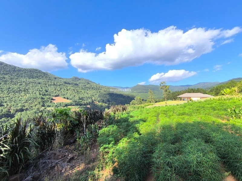 Riozinho - 2,7 hectares - Paredão: 12ª foto da galeria de imagens do imóvel