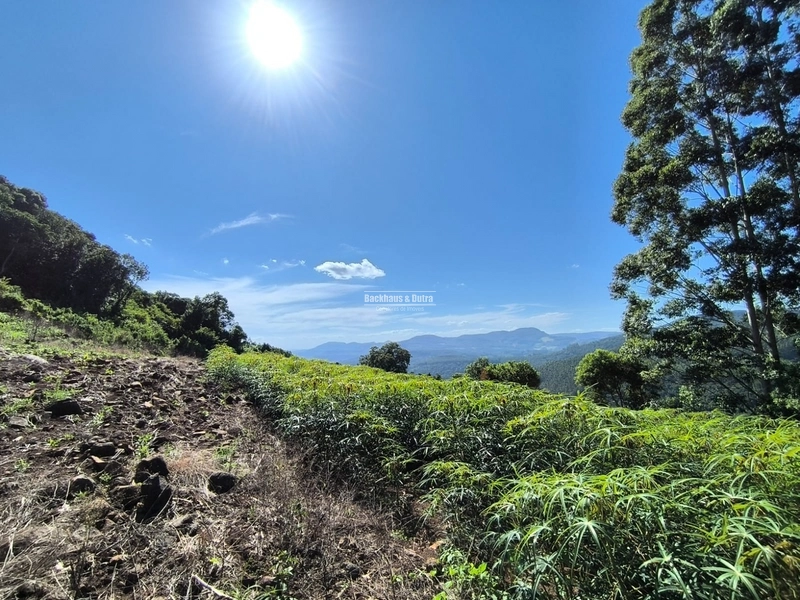 Riozinho - 2,7 hectares - Paredão: 9ª foto da galeria de imagens do imóvel