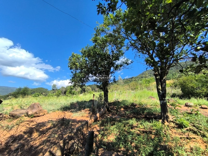 Riozinho - 2,7 hectares - Paredão: 19ª foto da galeria de imagens do imóvel