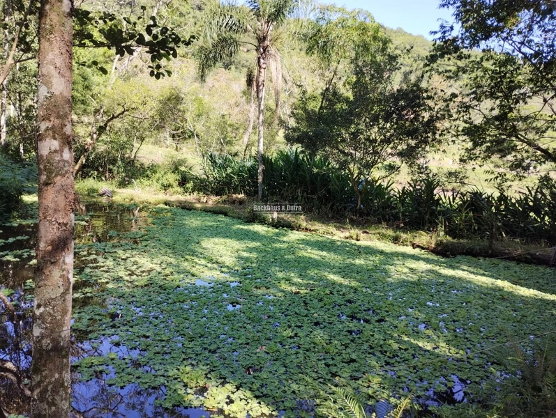 Rolante - 4 hectares - Açoita Cavalo: 20ª foto da galeria de imagens do imóvel