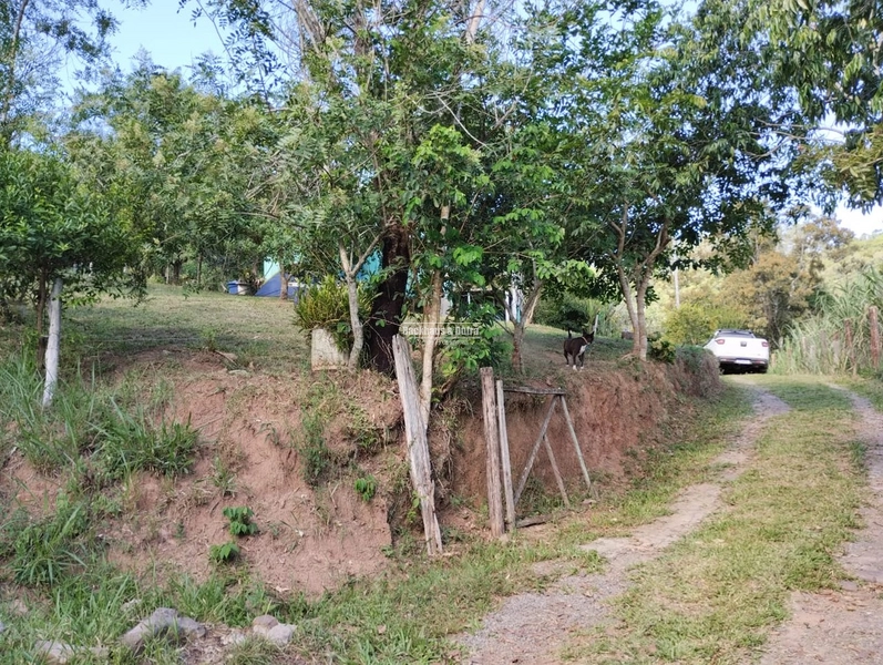Rolante - 4 hectares - Açoita Cavalo: 11ª foto da galeria de imagens do imóvel