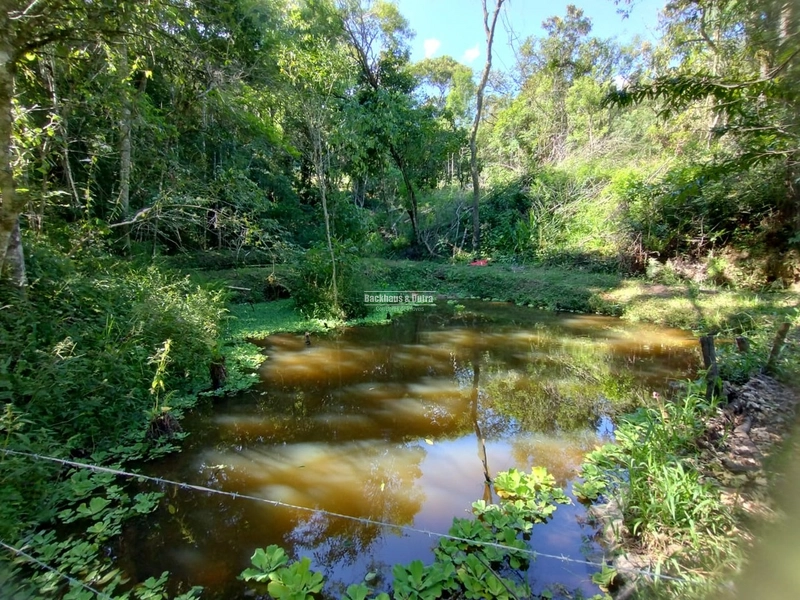 Rolante - 4 hectares - Açoita Cavalo: 21ª foto da galeria de imagens do imóvel