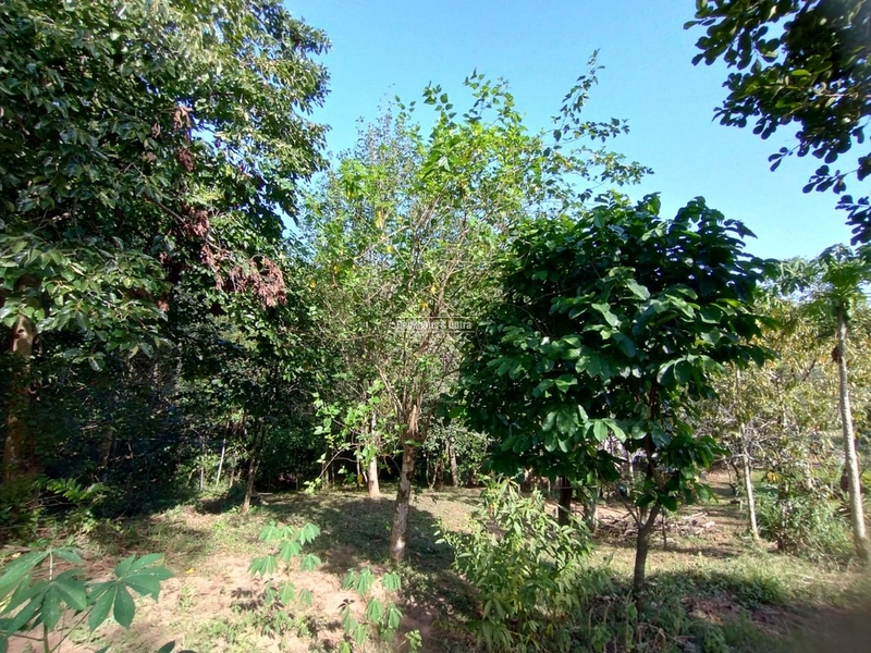 Rolante - 4 hectares - Açoita Cavalo: 5ª foto da galeria de imagens do imóvel