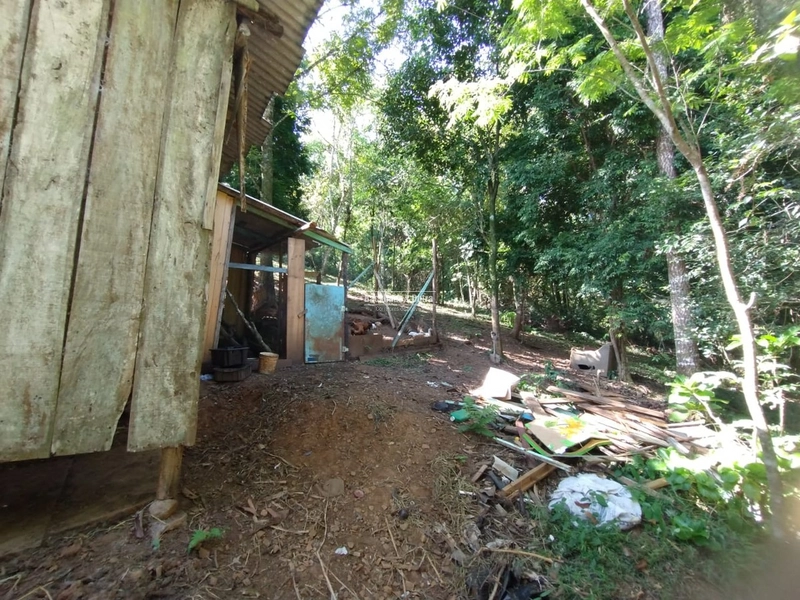 Rolante - 4 hectares - Açoita Cavalo: 22ª foto da galeria de imagens do imóvel