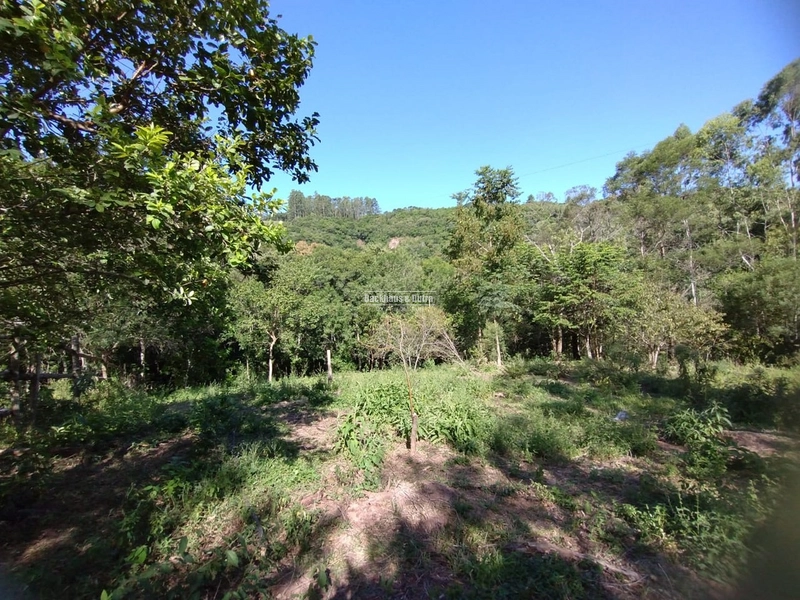 Rolante - 4 hectares - Açoita Cavalo: 1ª foto da galeria de imagens do imóvel