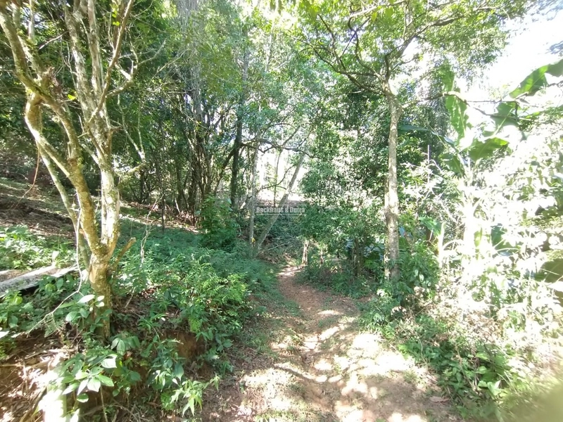 Rolante - 4 hectares - Açoita Cavalo: 24ª foto da galeria de imagens do imóvel