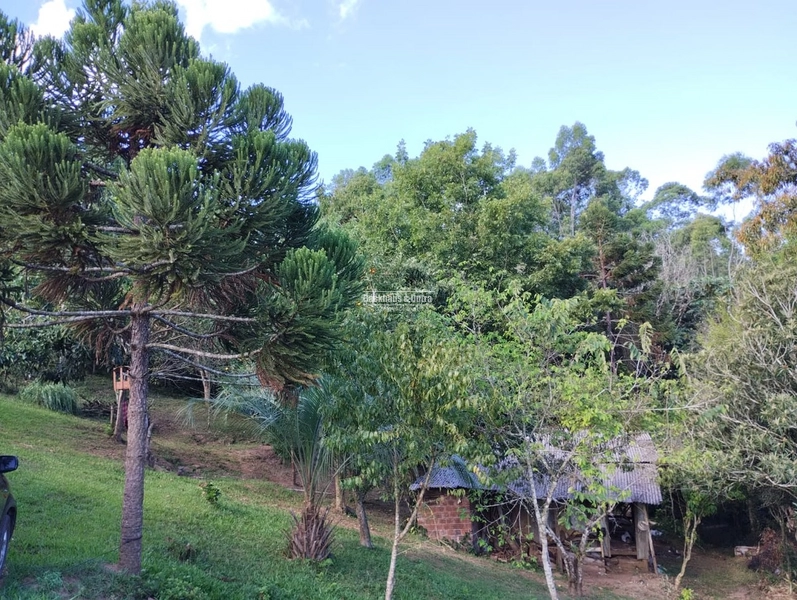 Rolante - 4 hectares - Açoita Cavalo: 13ª foto da galeria de imagens do imóvel
