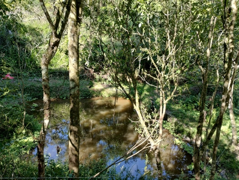 Rolante - 4 hectares - Açoita Cavalo: 3ª foto da galeria de imagens do imóvel