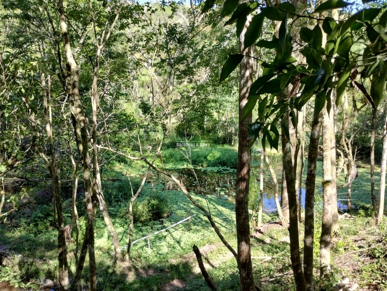 Rolante - 4 hectares - Açoita Cavalo: 23ª foto da galeria de imagens do imóvel