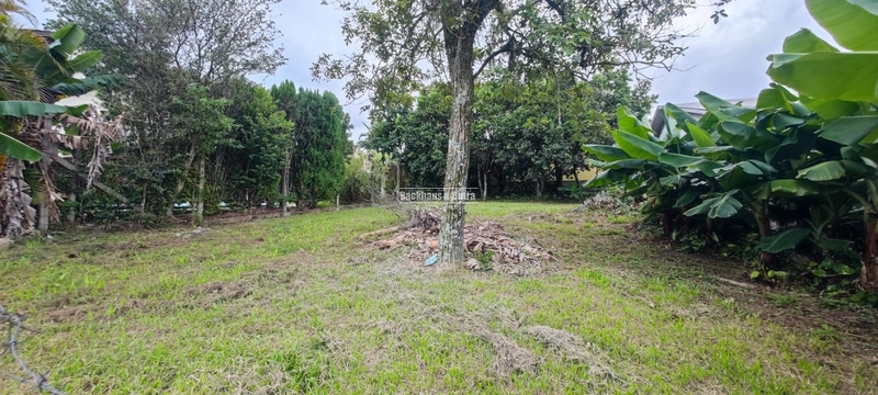 Taquara - Terreno 328,60m²- Cruzeiro: 3ª foto da galeria de imagens do imóvel