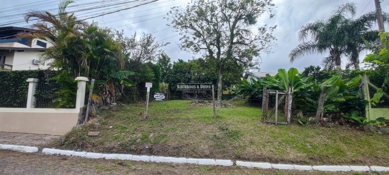 Taquara - Terreno 328,60m²- Cruzeiro: 1ª foto da galeria de imagens do imóvel