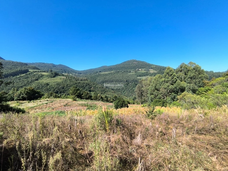Rolante - Chácara de 1,5 hectares - Colônia Monge: 8ª foto da galeria de imagens do imóvel