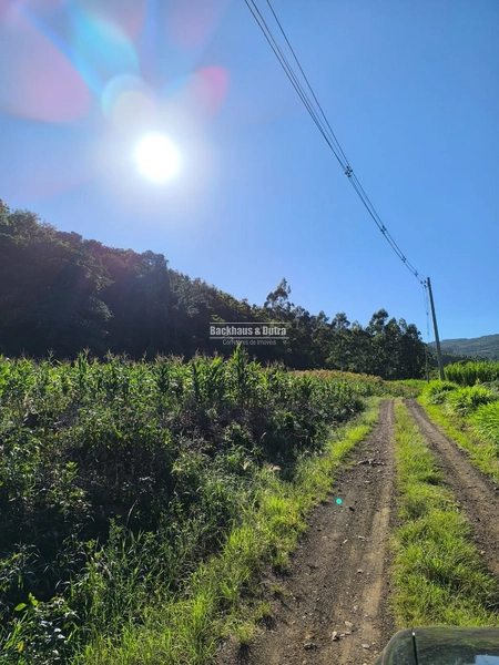Rolante - Chácara de 1,5 hectares - Colônia Monge: 10ª foto da galeria de imagens do imóvel