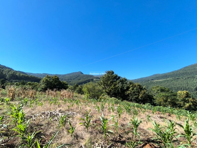 Rolante - Chácara de 1,5 hectares - Colônia Monge: 3ª foto da galeria de imagens do imóvel