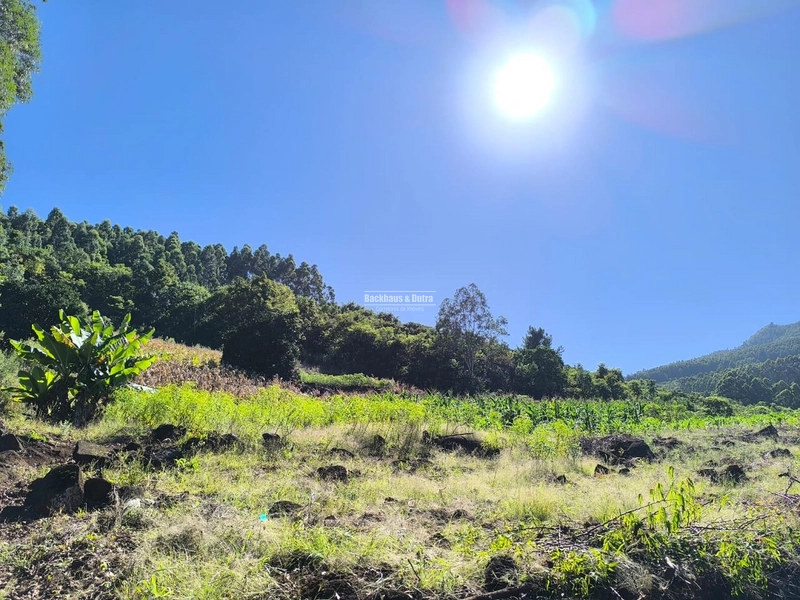 Rolante - Chácara de 1,5 hectares - Colônia Monge: 1ª foto da galeria de imagens do imóvel