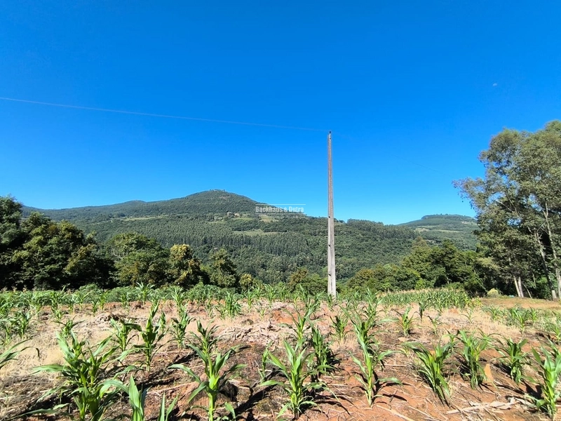 Rolante - Chácara de 1,5 hectares - Colônia Monge: 5ª foto da galeria de imagens do imóvel