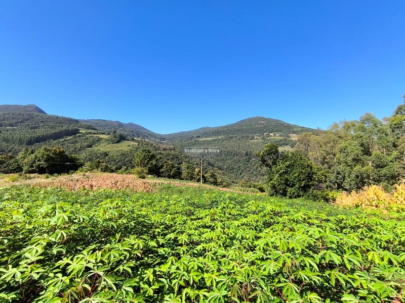 Rolante - Chácara de 1,5 hectares - Colônia Monge: 7ª foto da galeria de imagens do imóvel