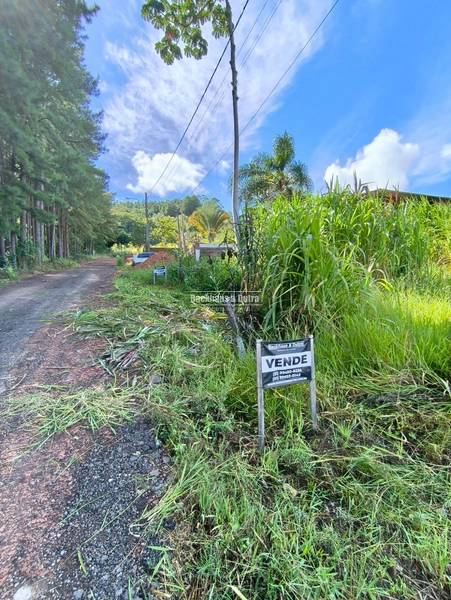 Rolante - Terrenos  Amplos com Vista Panorâmica à Venda em Rolantinho.: 3ª foto da galeria de imagens do imóvel