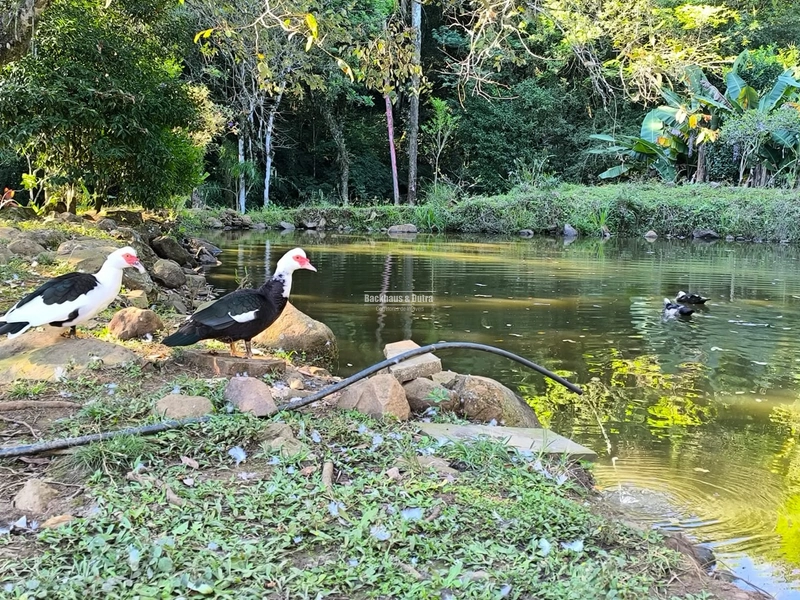 : 1ª foto da galeria de imagens do imóvel