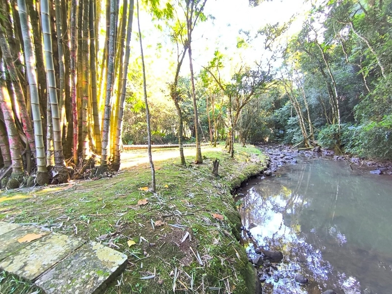 : 6ª foto da galeria de imagens do imóvel