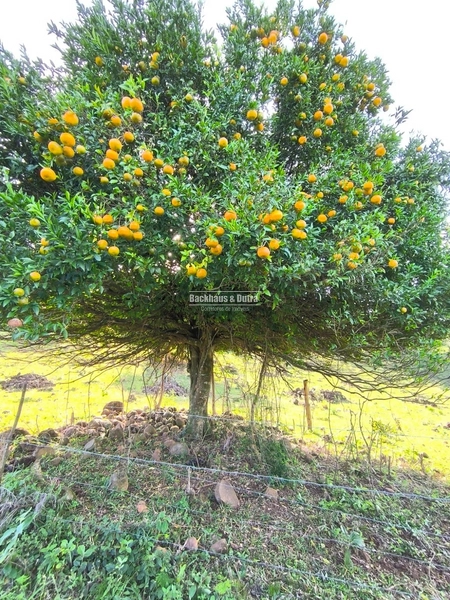 : 5ª foto da galeria de imagens do imóvel