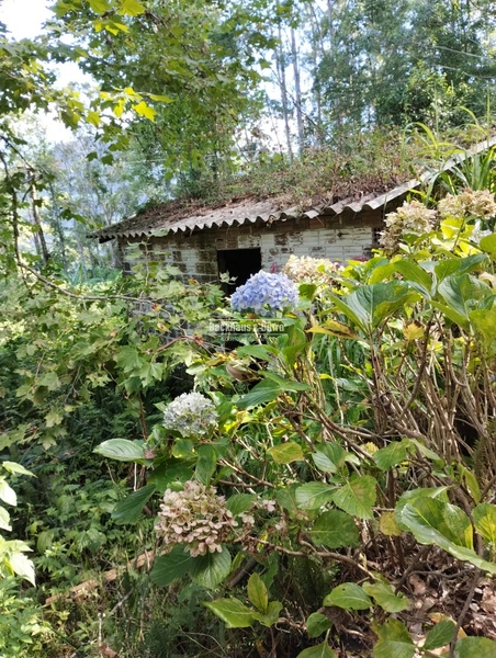 : 11ª foto da galeria de imagens do imóvel