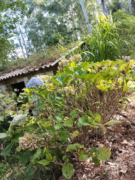 : 10ª foto da galeria de imagens do imóvel