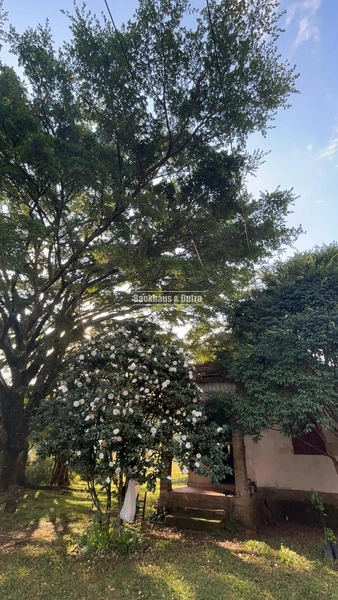 Rolante - Chácara com Casa, Galpão e Açudes à Venda – 7,5 hectares.: 3ª foto da galeria de imagens do imóvel