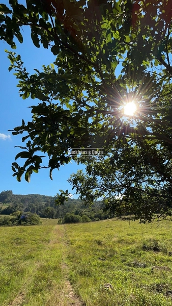 Rolante - Chácara com Casa, Galpão e Açudes à Venda – 7,5 hectares.: 1ª foto da galeria de imagens do imóvel