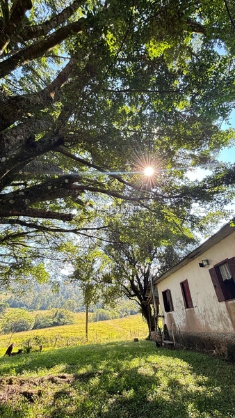 Rolante - Chácara com Casa, Galpão e Açudes à Venda – 7,5 hectares.: 2ª foto da galeria de imagens do imóvel