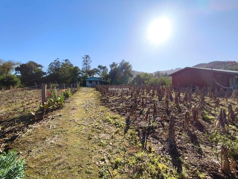 Rolante - Chácara 1 Hectare - Alto Rolante: 4ª foto da galeria de imagens do imóvel