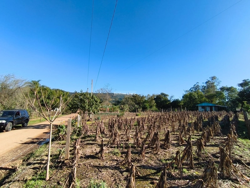 Rolante - Chácara 1 Hectare - Alto Rolante: 7ª foto da galeria de imagens do imóvel