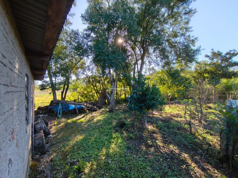 Rolante - Chácara 1 Hectare - Alto Rolante: 6ª foto da galeria de imagens do imóvel